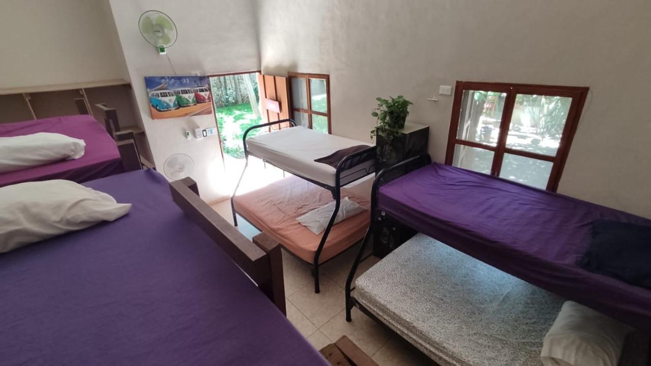 Casona Hostel Boutique Mérida Dış mekan fotoğraf