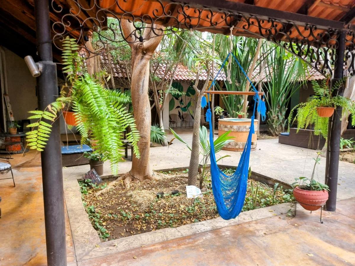 Casona Hostel Boutique Mérida Dış mekan fotoğraf