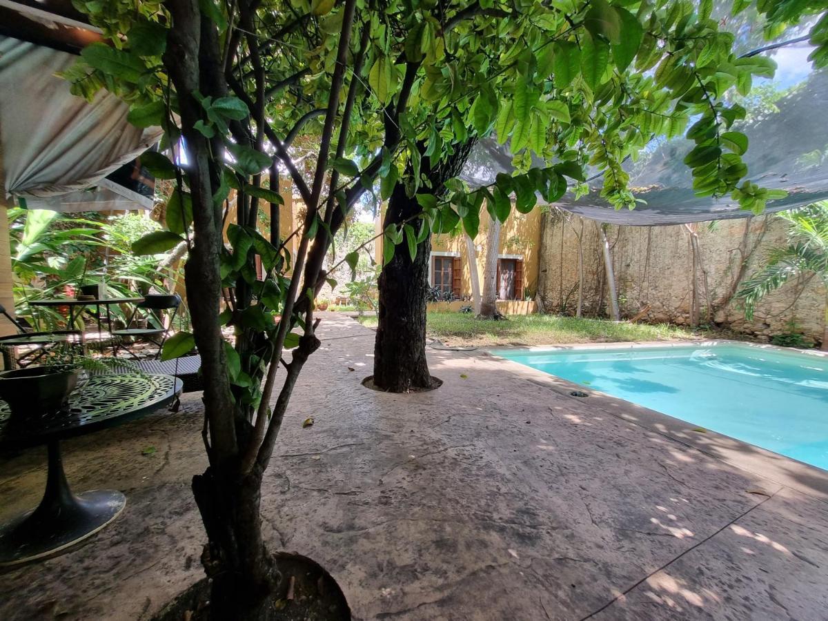 Casona Hostel Boutique Mérida Dış mekan fotoğraf